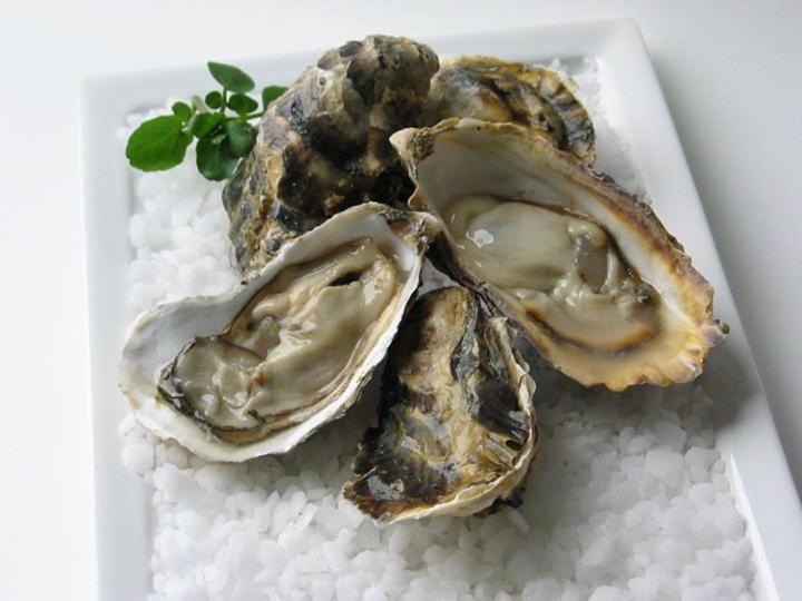 La Boussole Centre Station Proche Mer 아공-쿠탕빌 외부 사진
